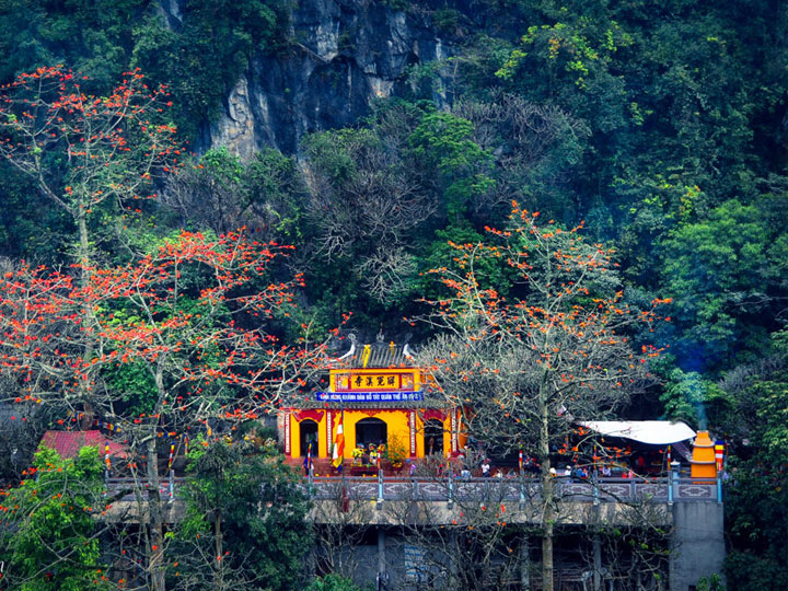 Huong Pagoda Travel - Yen streams spring one day